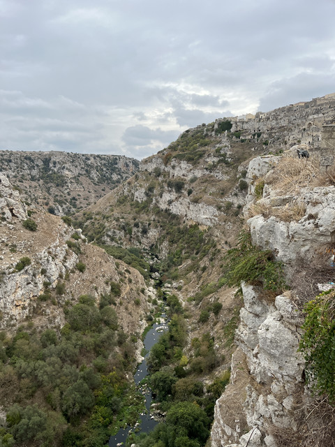 7-IMG-8131