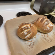 IMG-1039