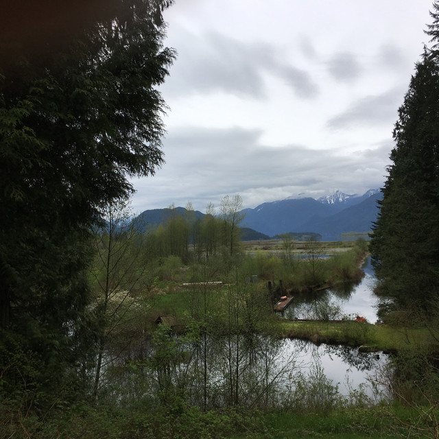 IMG-0029