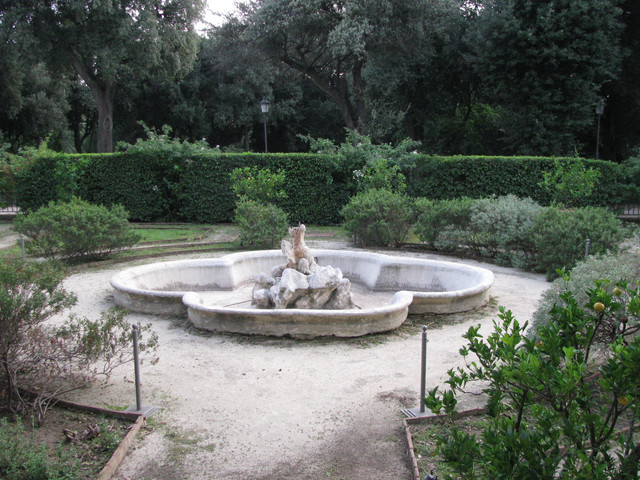 IMG-8791