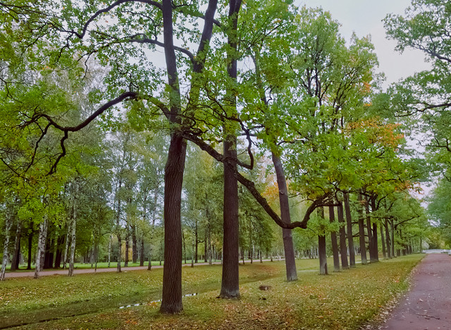 DSCF2358.jpg