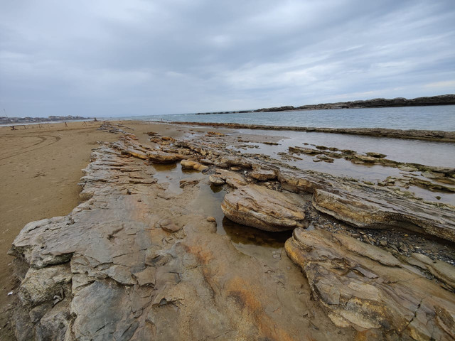 IMG-20230409-WA0004