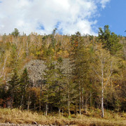 DSC04007