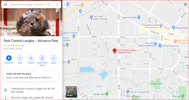 Advance Pest Control provides the best services for pest control in Langley and Aldergorve. Get in touch to get the services! Call Now at 604-786-4161.

Read More:- https://g.page/Advance_Pest_Control_Langley

Advance Pest Control is proud to offer its services at affordable and competitive rates with all inclusive pest control remedial measures and follow ups.Our mission statement is simple yet striking; providing exceptional and cost effective pest control management services through highly qualified and expert personnel. We are greatly committed to provide you with the quality living at your place as per your demand and comfort. With full dedication, we ensure to bring the maximum benefits for our valuable clients with jam-packed focus on pest control management and related technology consulting expertise.

#PestControlLangley