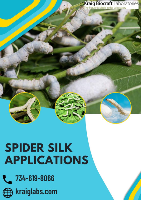 Kraig Biocraft Labs’ genetically engineered spider silk is stronger and tougher than steel. It has tremendous potential for many commercial and industrial applications.
For more information, visit this website: https://www.kraiglabs.com/spider-silk/