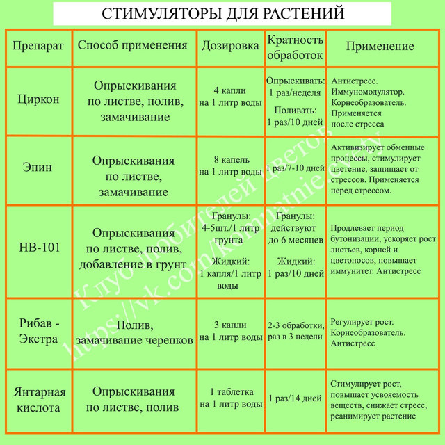 54-Wv-R1-Evr-SA.jpg