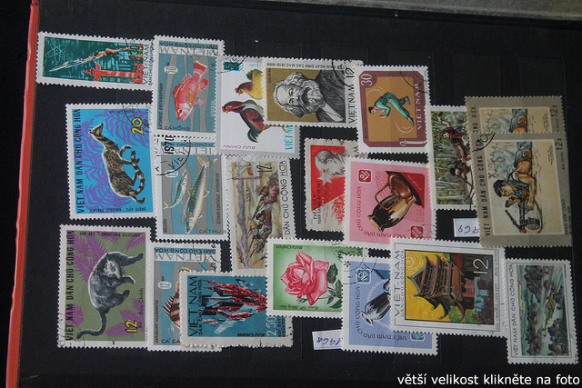 IMG-3784.jpg