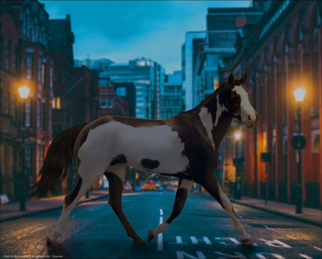 citypaintfinitomain