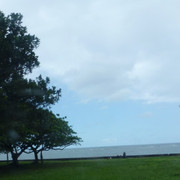 P1070308