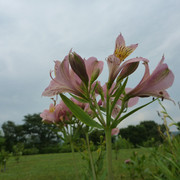 P1330407