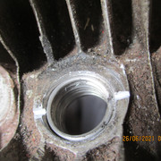 IMG-5529
