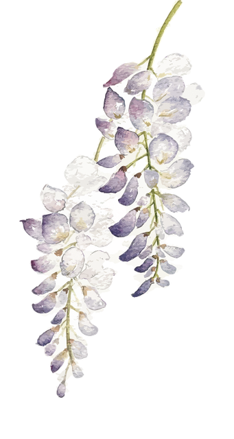 pngegg (80).png