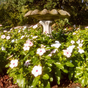IMG 20140918 174419 384