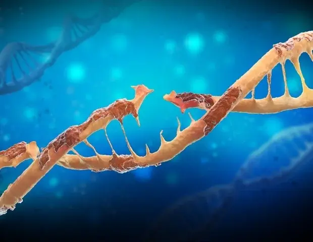 Experimental Drug Shows Promise Against Alzheimer's Brain Damage