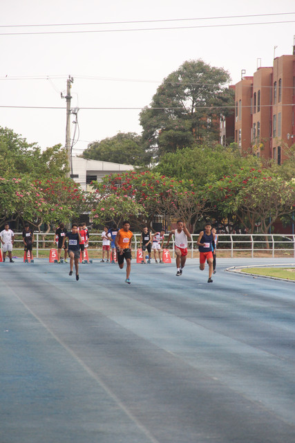IMG-0137.jpg