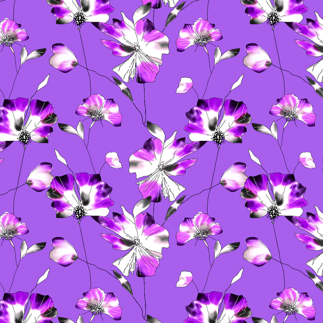 Z6.png