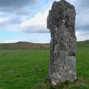 110