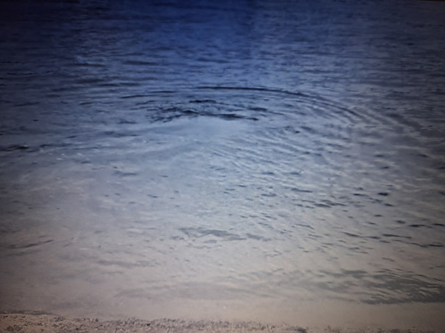 20260929-010119