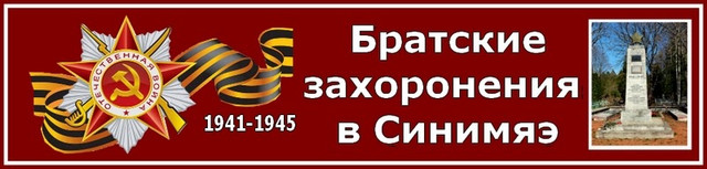 https://i.ibb.co/PZ7NRgst/image.jpg
