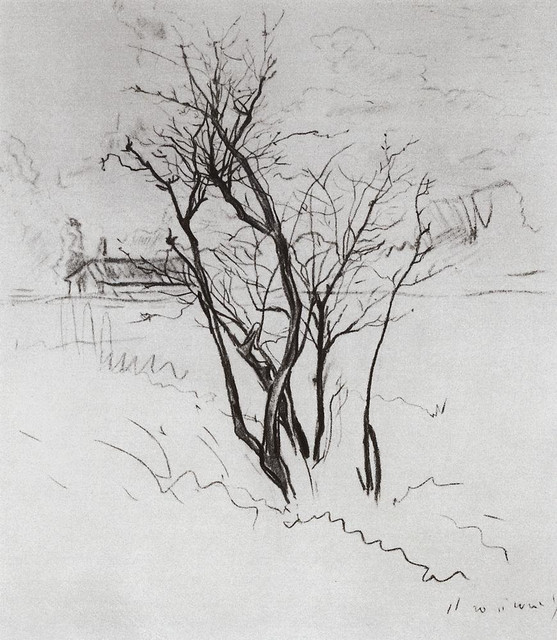 Дерево в поле 1897