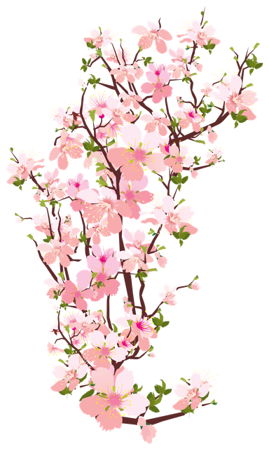 b33c092c2d2d3a28798ea991232d1b77.png