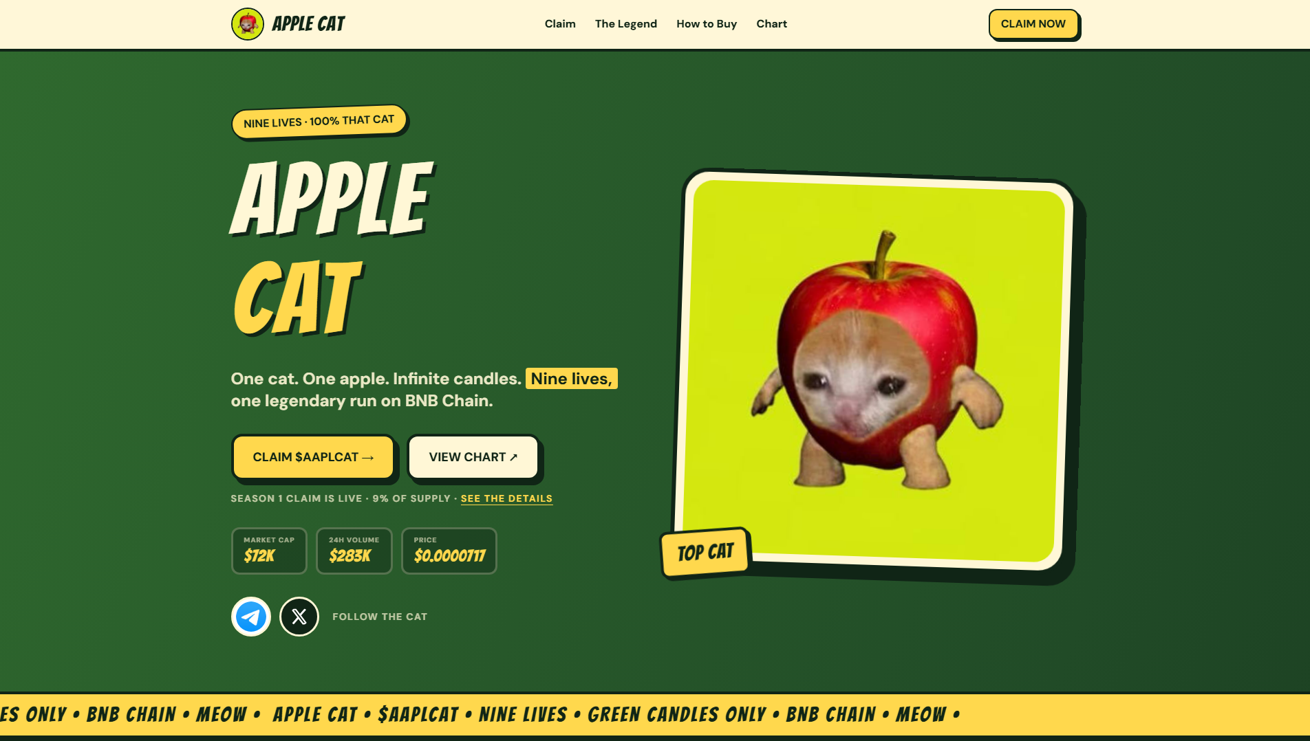 Screenshot of aaplcat.netlify.app