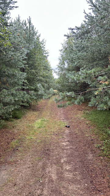 IMG 5095.jpg