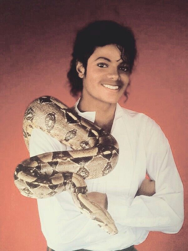 mjjmuscles1985.jpg