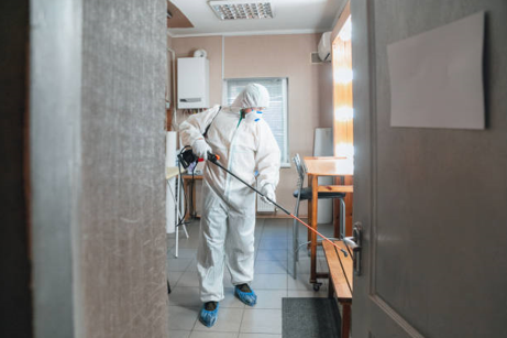 Mold Cleanup Services.png