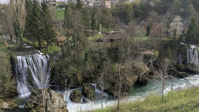 IMG-3297