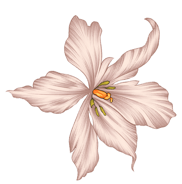 fe19e5c82654ba5d64166005ff67d3f9.png