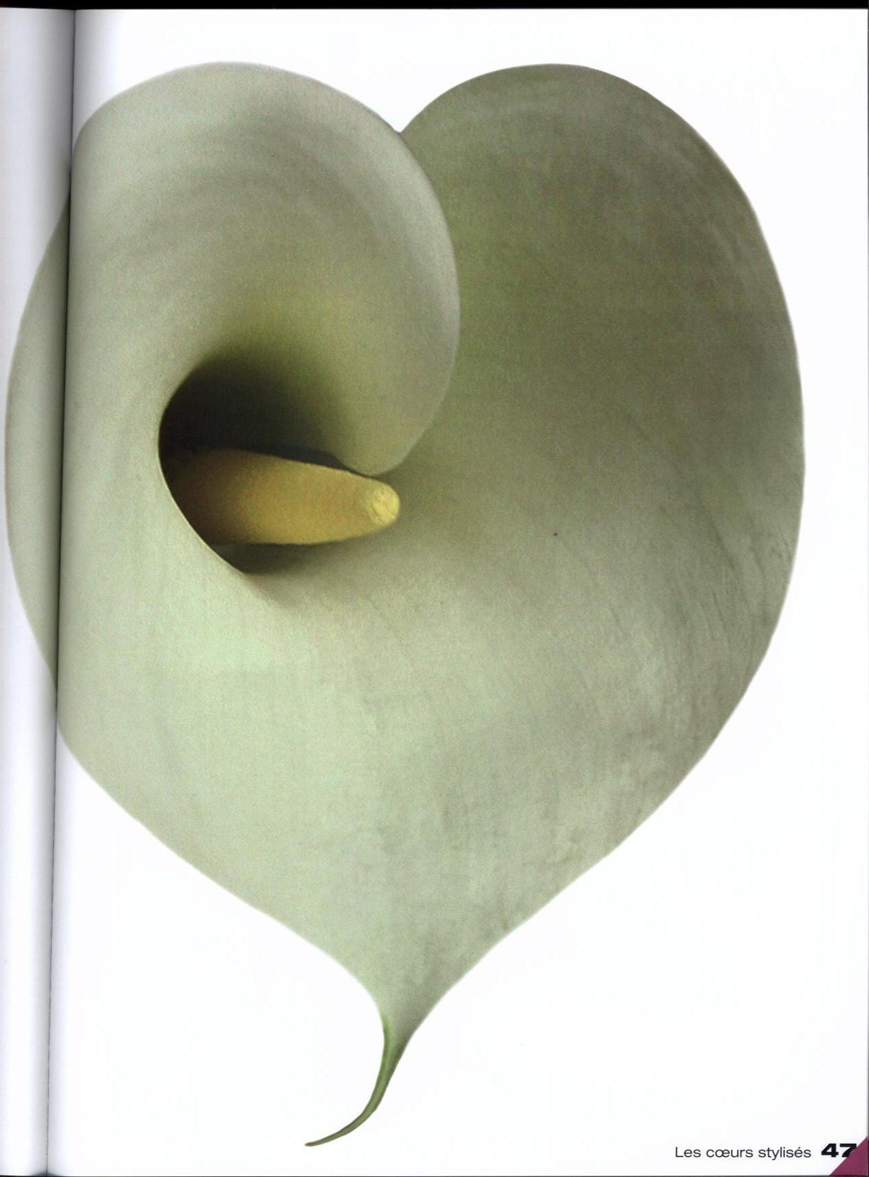 0047