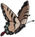 Brown butterfly