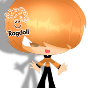 ragdoll