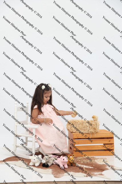 IMG 0931