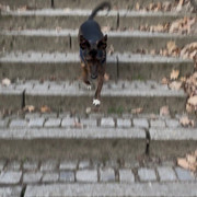 IMG-7914