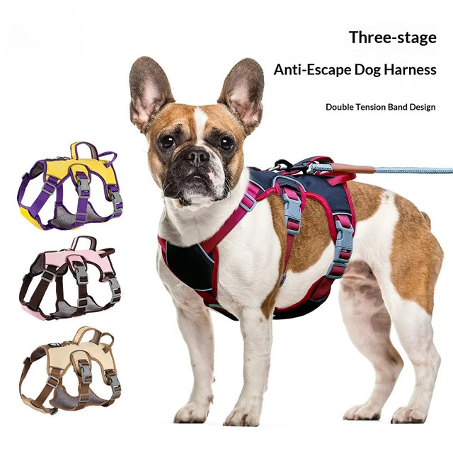 Dog Harness Image 1