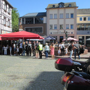 IMG-3537