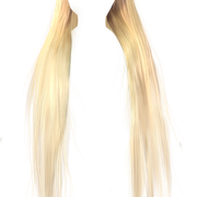 IMG 8419.png