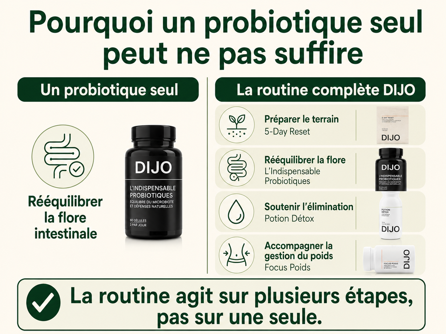 Comparaison entre un probiotique seul et la routine complète DIJO en quatre étapes