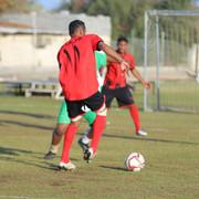 IMG 7445