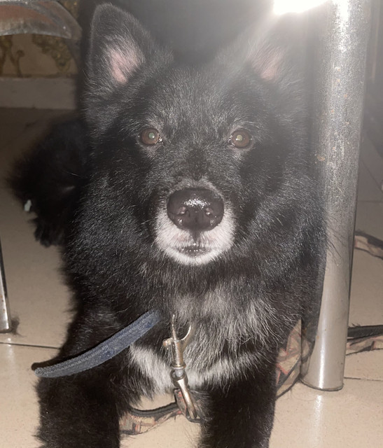 KONA