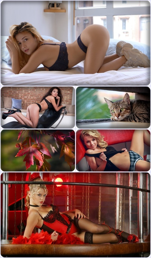 Beautiful widescreen wallpapers 916