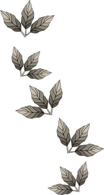 202.png