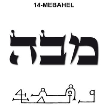 14 mebahel thumb.jpg