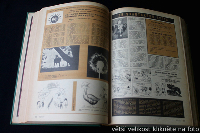 IMG-2463.jpg