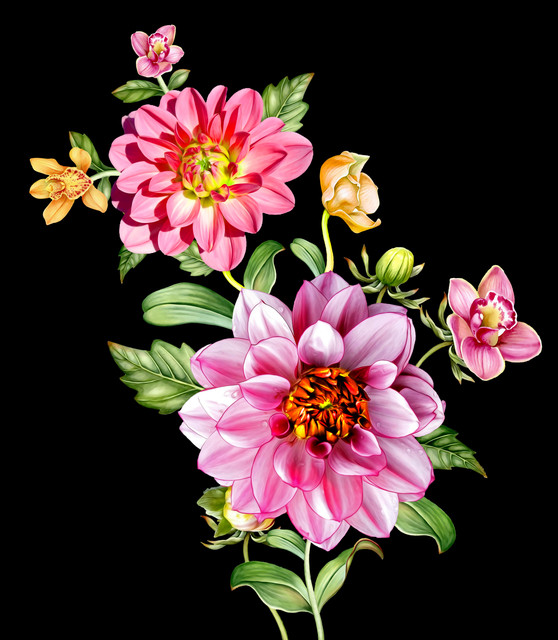 shutterstock 2004302027.jpg