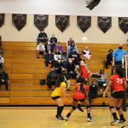 IMG-0115