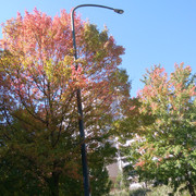 2022-11-04-07