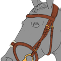 ansuitset4 01